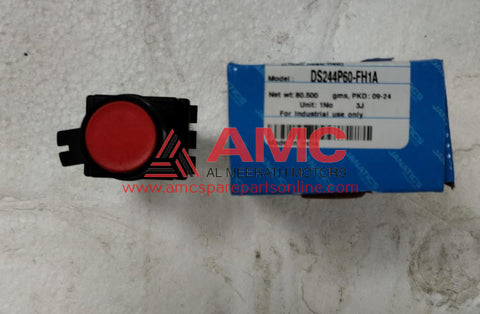 FLUSH HEAD SWITCH DS244P60-FH1A